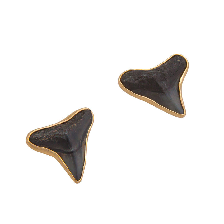 Alchemia Fossil Shark Teeth Post Earrings