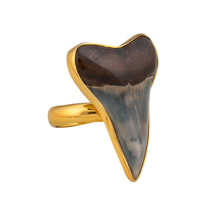 Alchemia Fossil Shark Tooth Adjustable Ring