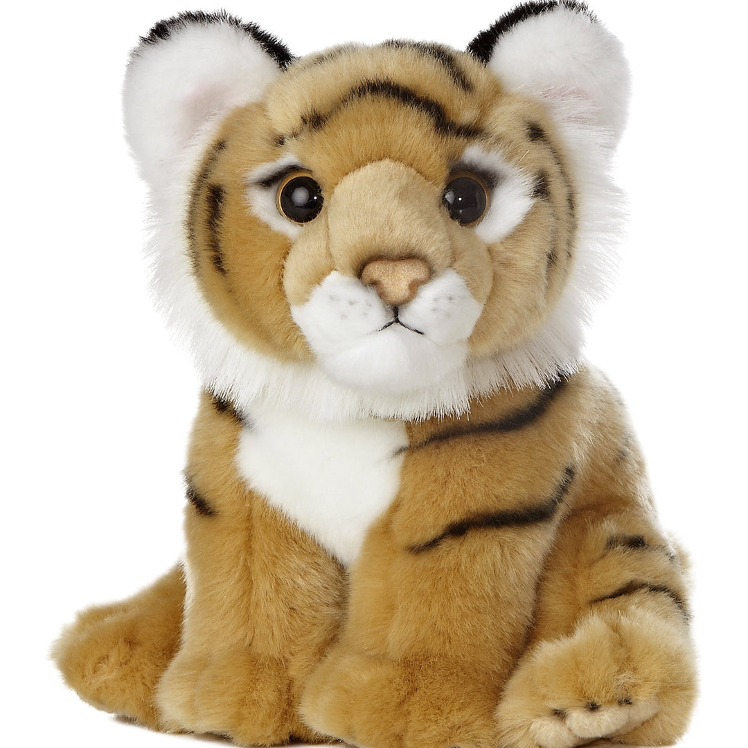 Bébé tigre du Bengale - Miyoni