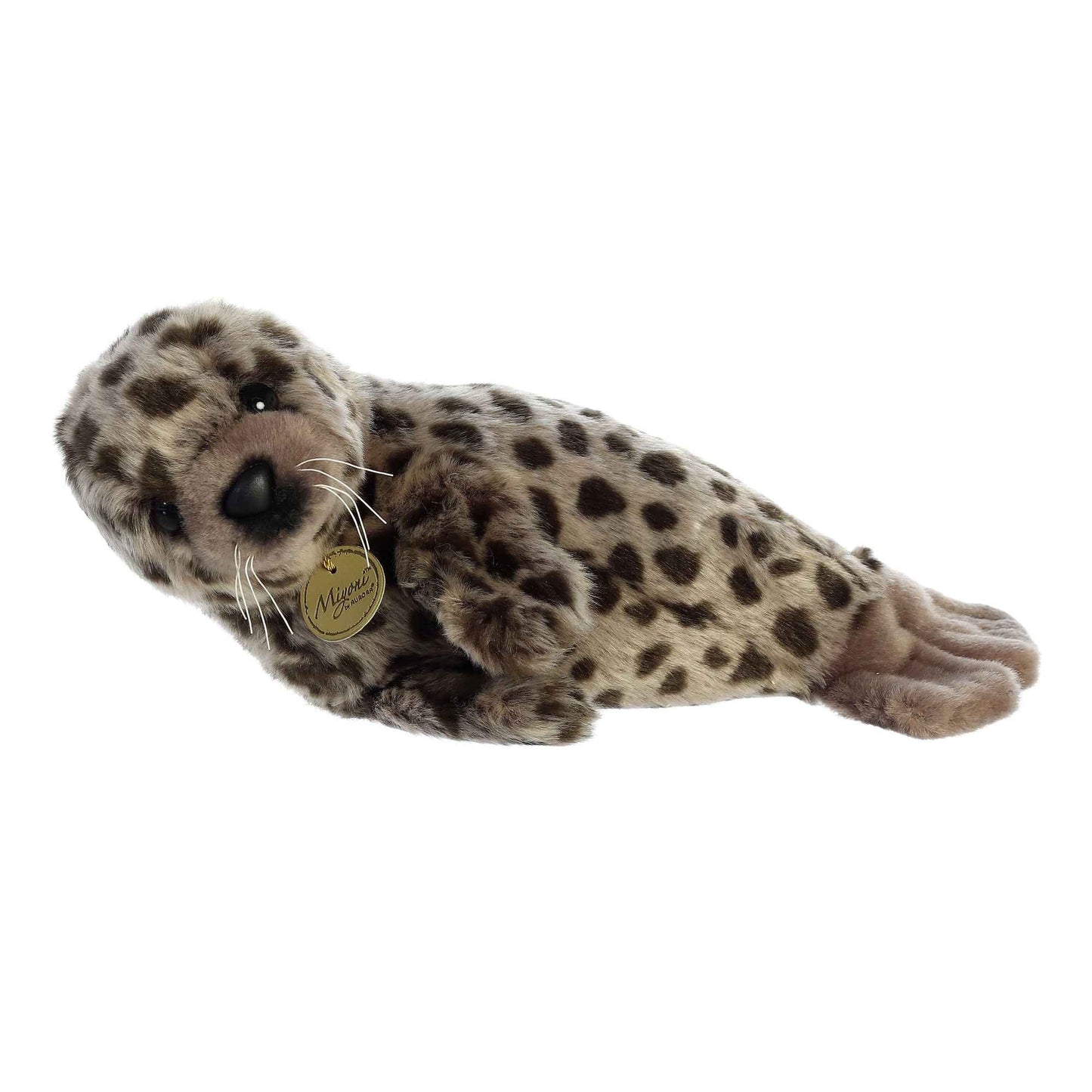 Harbor Seal - Miyoni