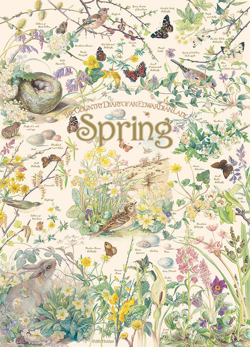 Country Diary: Spring Puzzle