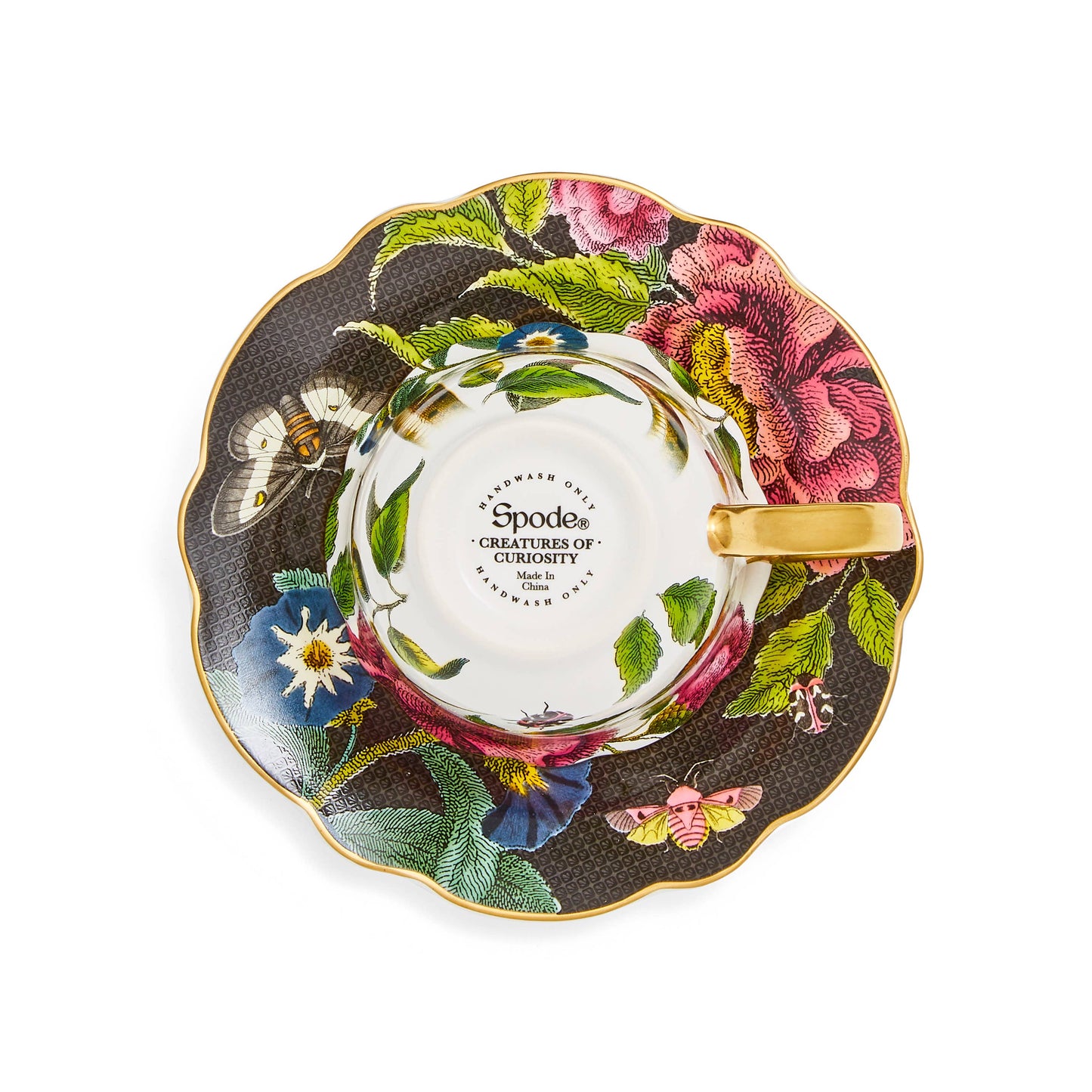 Creatures of Curiosity Dark Floral Teacup and Saucer: (Snake/Black)