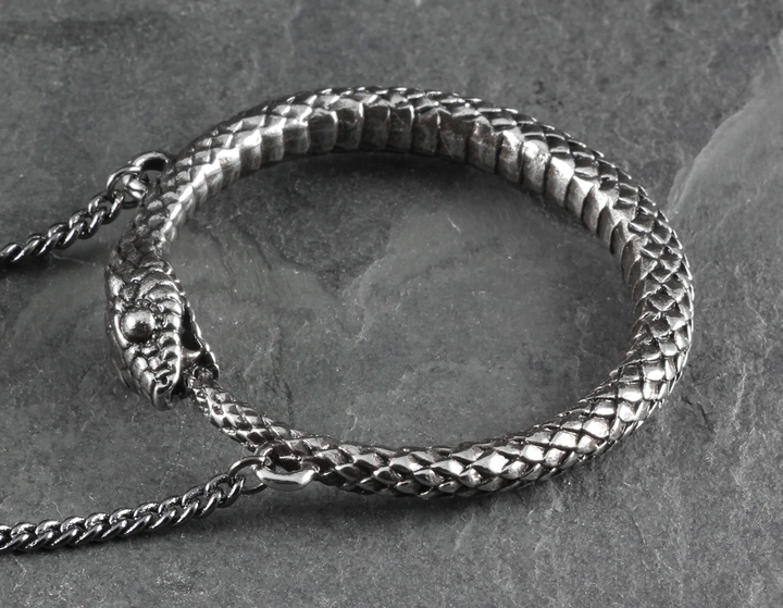 Ouroboros Necklace - Silver: Antique silver chain / 24"