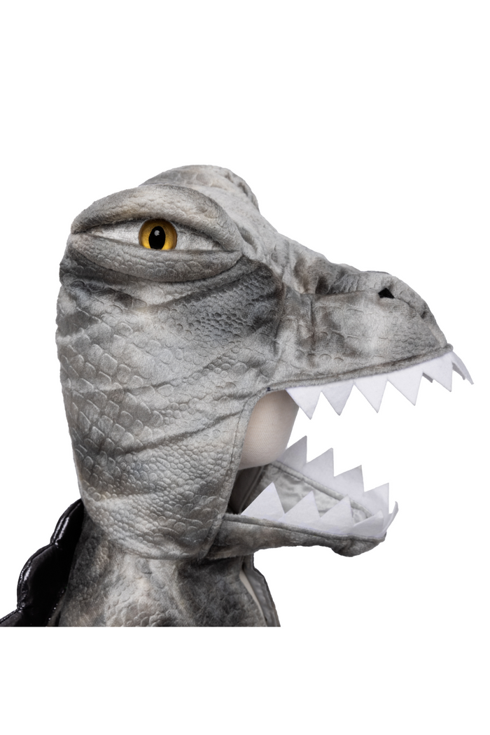 Grandasaurus Spinosaurus Cape 4-6
