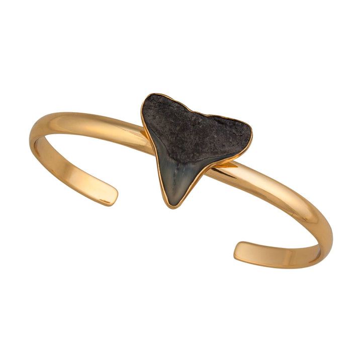 Fossil Shark Tooth Mini Cuff