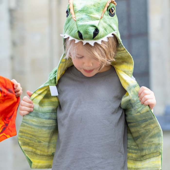 All Day Dino Vest 5-6