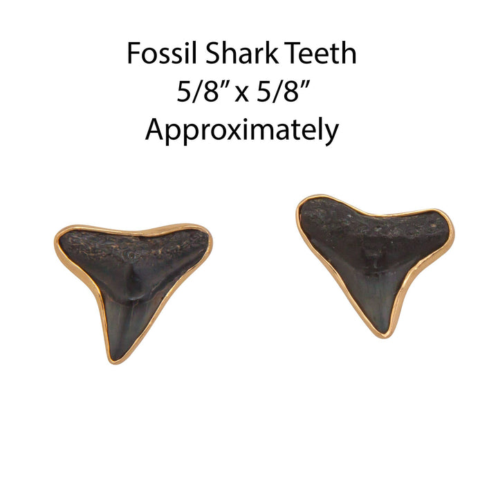 Alchemia Fossil Shark Teeth Post Earrings