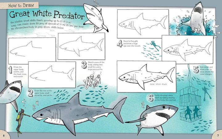 How to Draw Incredible Sharks and Other Ocean Giants
