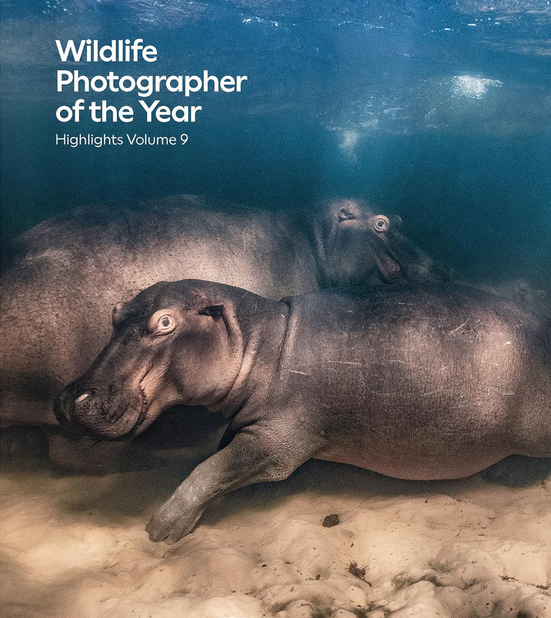 Photographe animalier de l'année : points forts V9