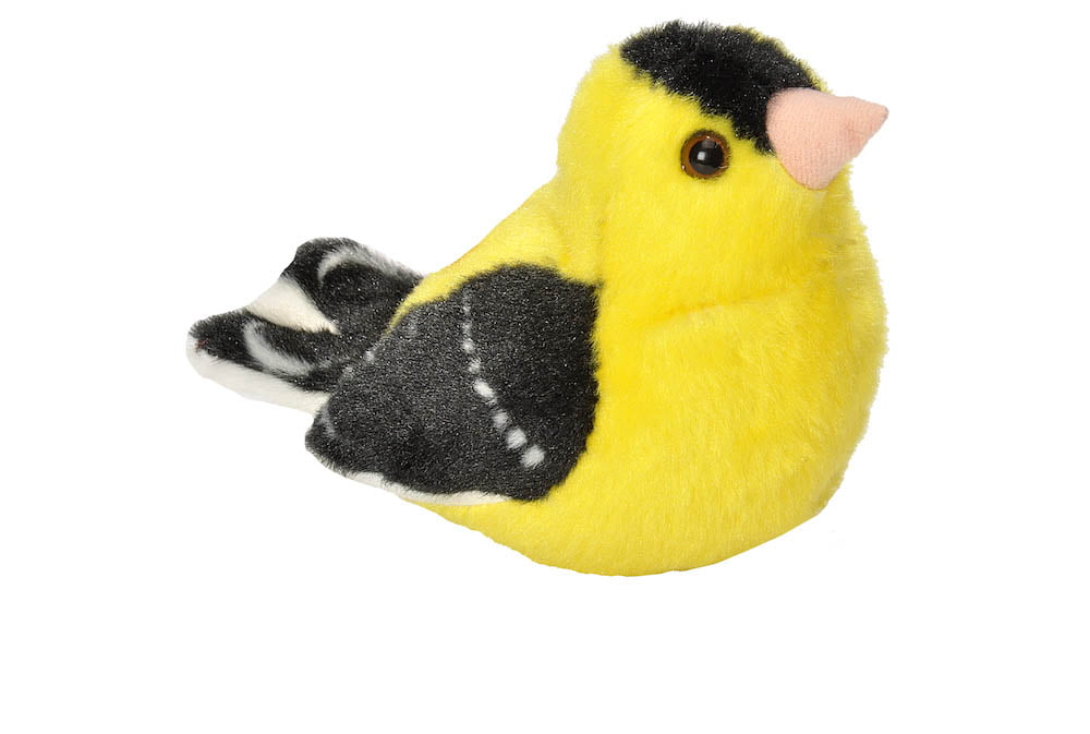 AUD II AMERICAN GOLDFINCH