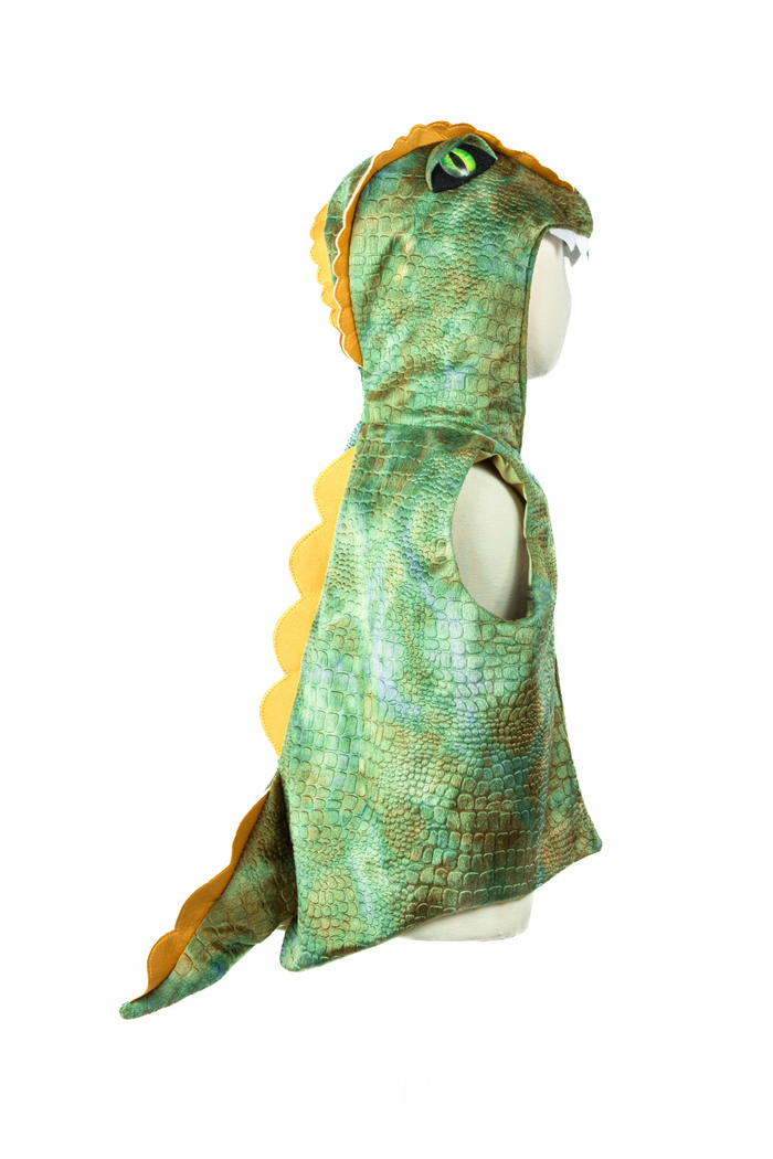 All Day Dino Vest 5-6