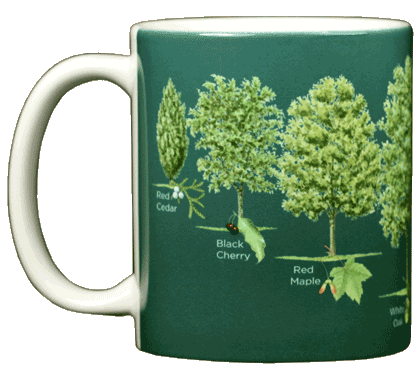 Tasse en céramique Arbres d'Amérique du Nord