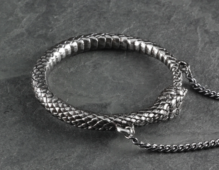 Ouroboros Necklace - Silver: Antique silver chain / 24"