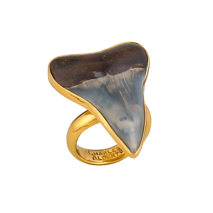 Alchemia Fossil Shark Tooth Adjustable Ring