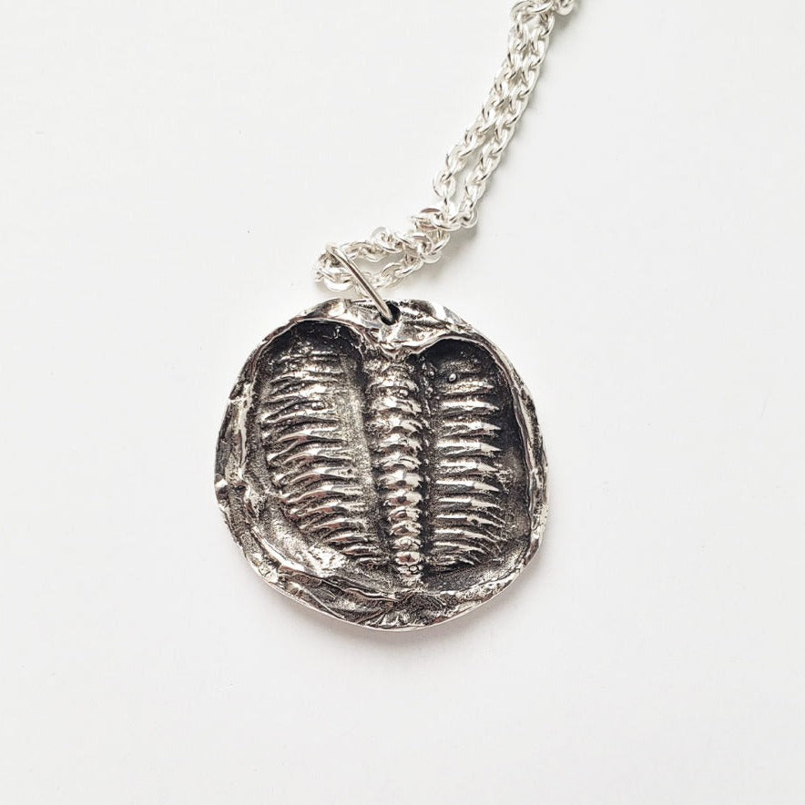 Médaillon trilobite sans tête par MDW Jewelry