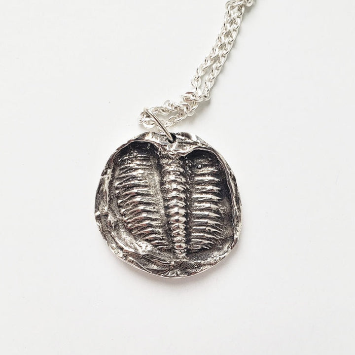 Médaillon trilobite sans tête par MDW Jewelry