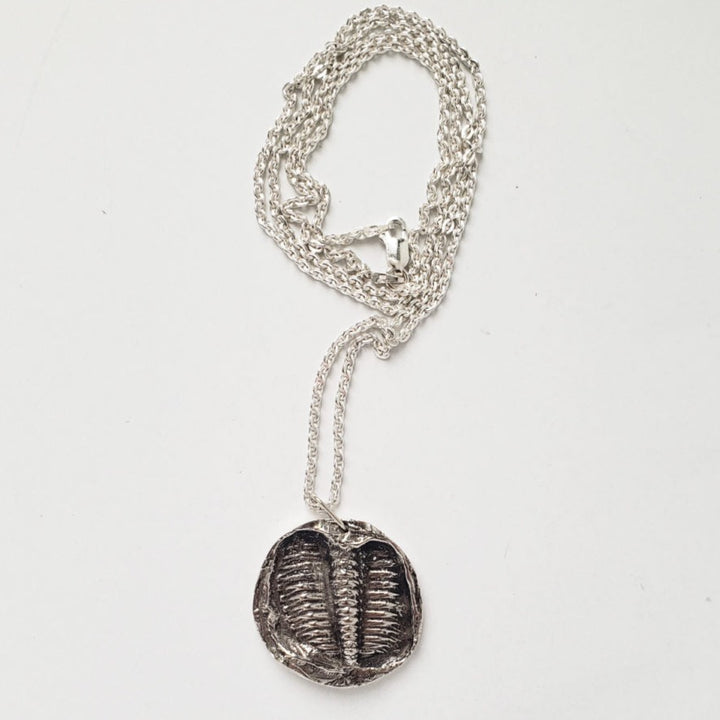 Médaillon trilobite sans tête par MDW Jewelry