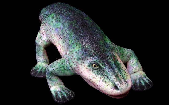 Eryops Model