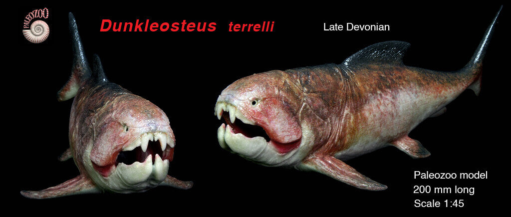 Dunkleosteus Model