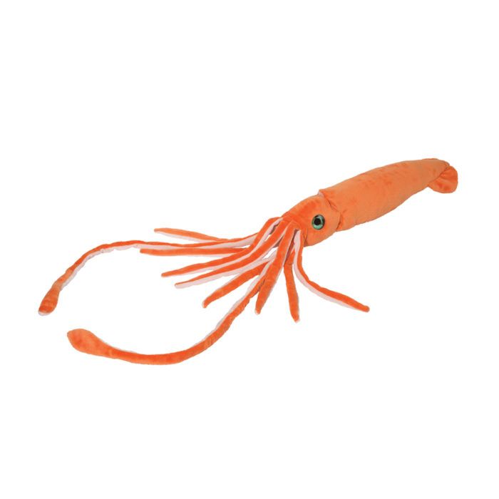 Jet Stream Squid