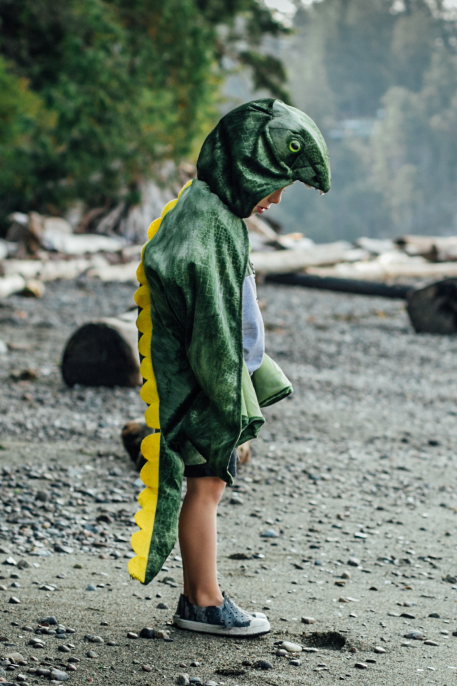 Dinosaur 2025 hooded romper