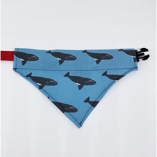 Dog Bandana - Right Whale
