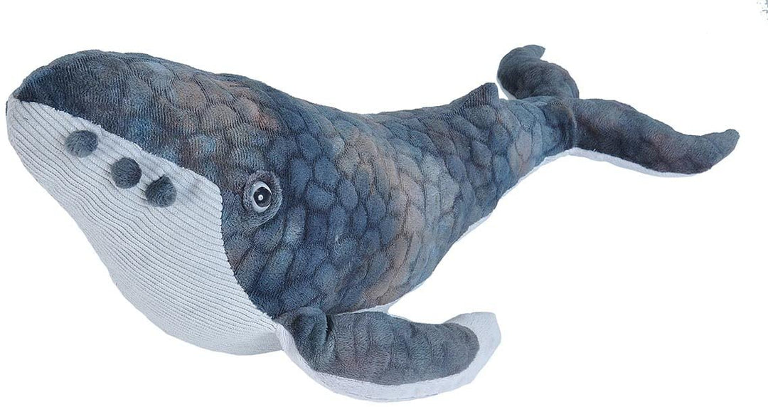 Peluche - Baleine à bosse CK