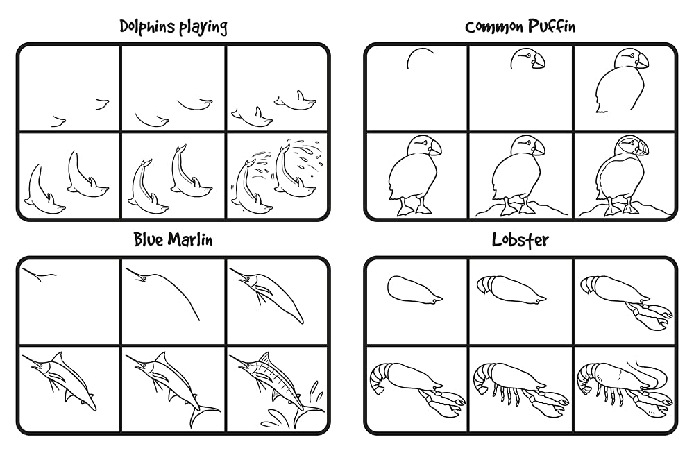 How to Draw 101 Dolphins and Other Sea Animals