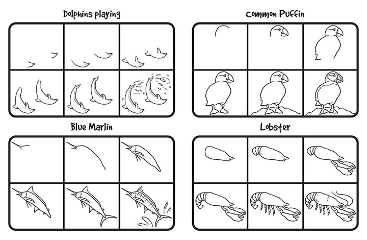 Comment dessiner 101 dauphins et autres animaux marins
