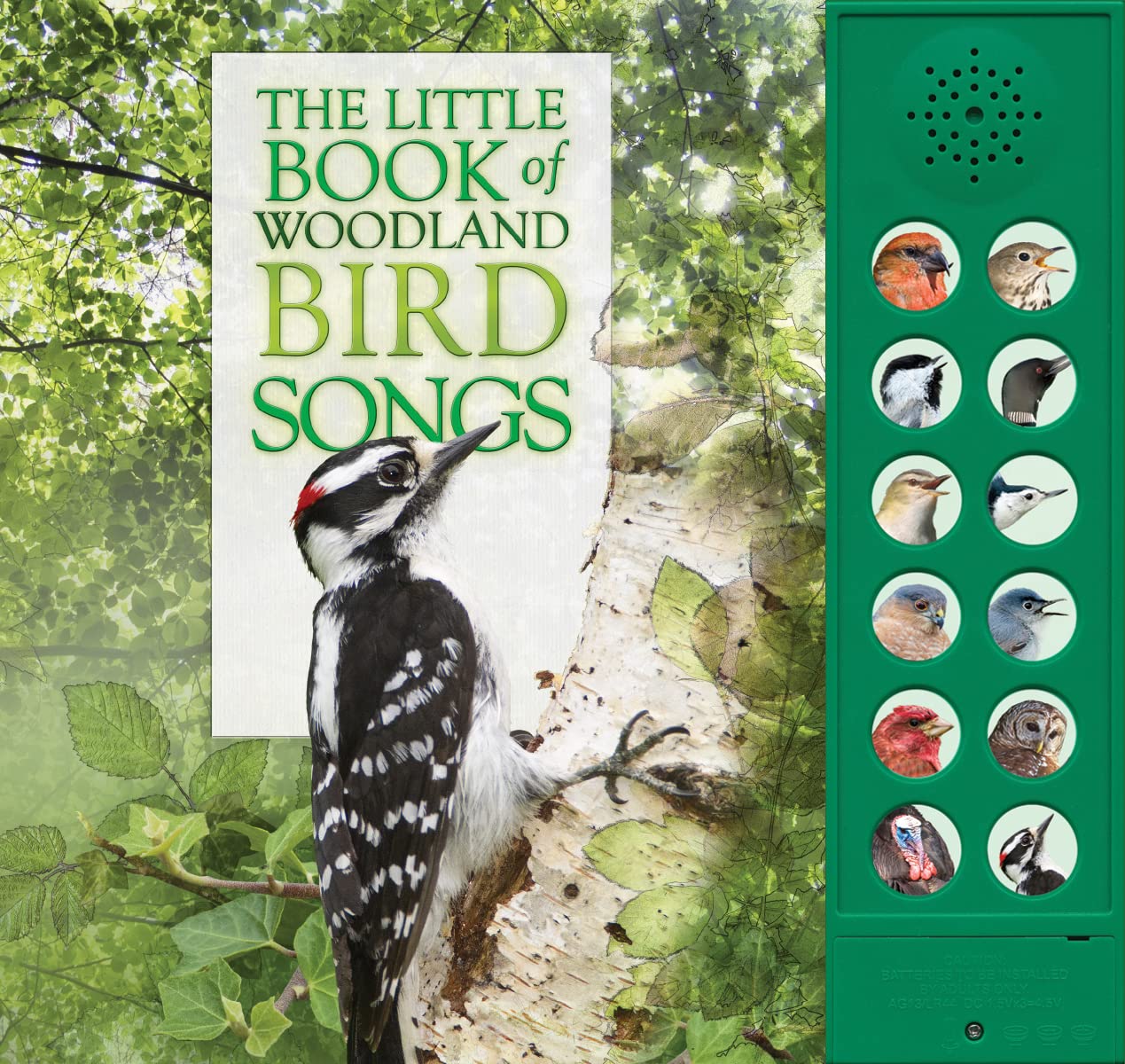 Woodland Bird Song