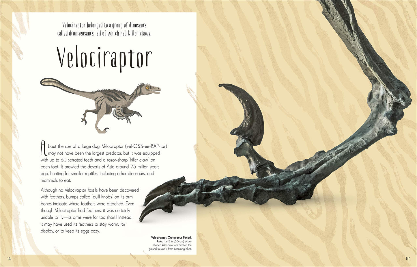 Dinosaures et autres formes de vie préhistoriques