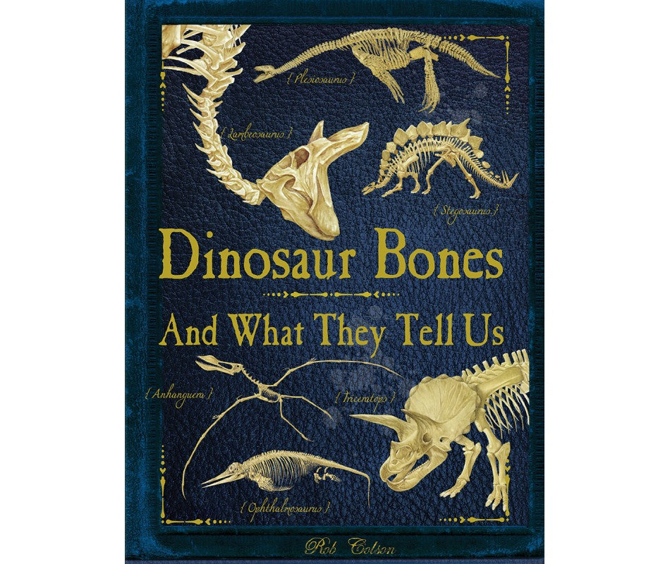 Dinosaur Bones and What They Tell Us