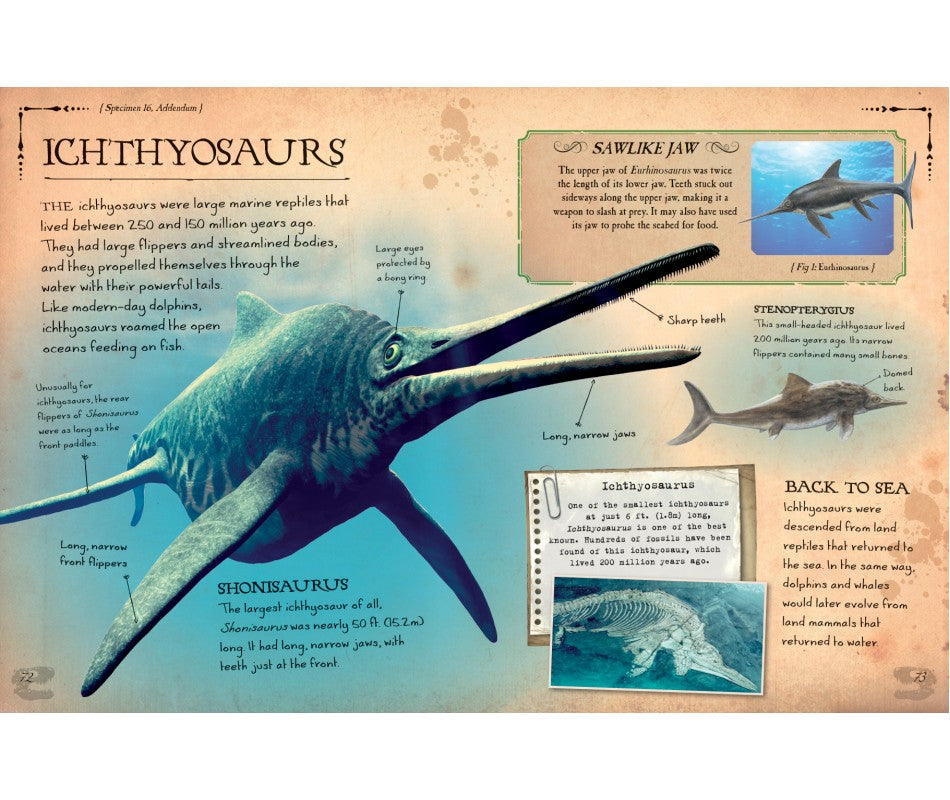 Dinosaur Bones and What They Tell Us