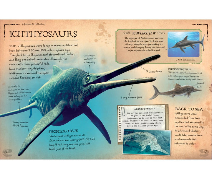 Dinosaur Bones and What They Tell Us