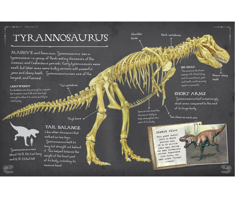 Dinosaur Bones and What They Tell Us