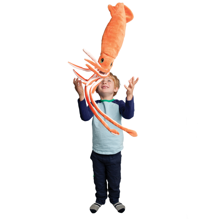 Jet Stream Squid