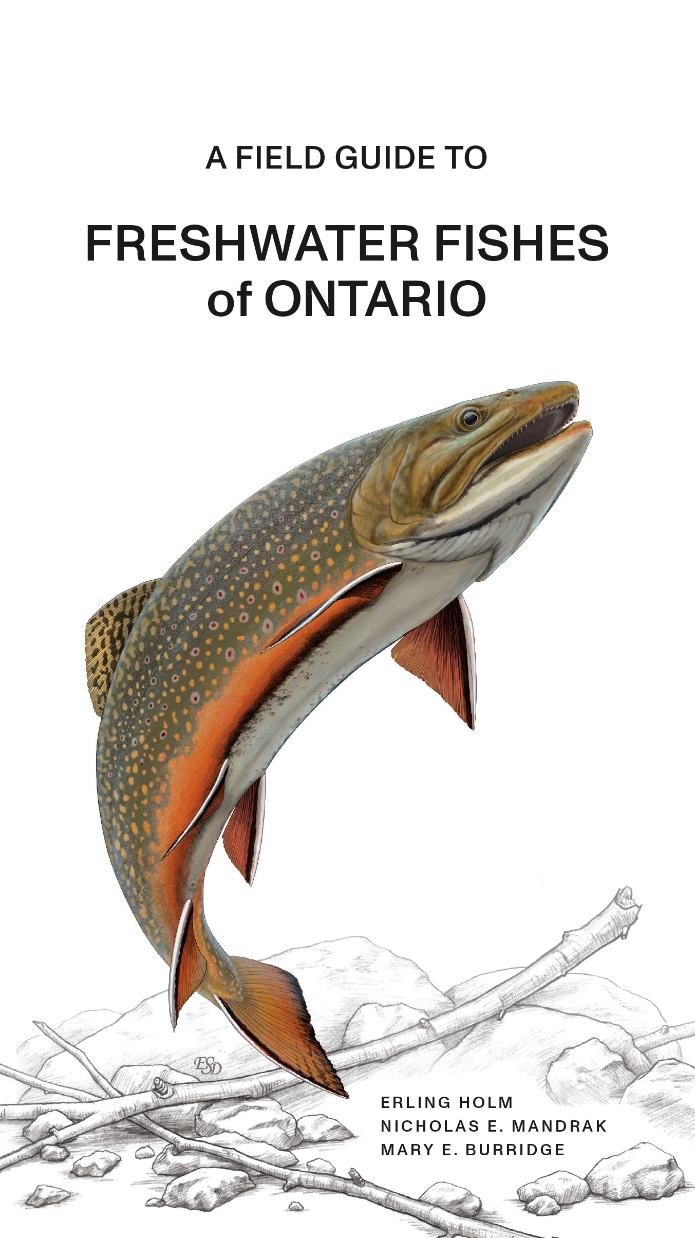 A Field Guide to Freshwater Fishes of Ontario – ROM Boutique