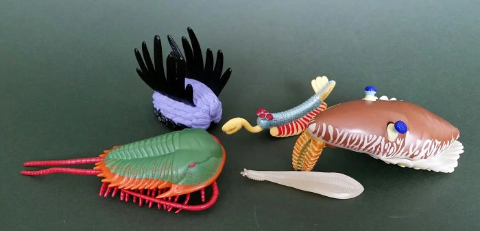 Animals of the Burgess Shale