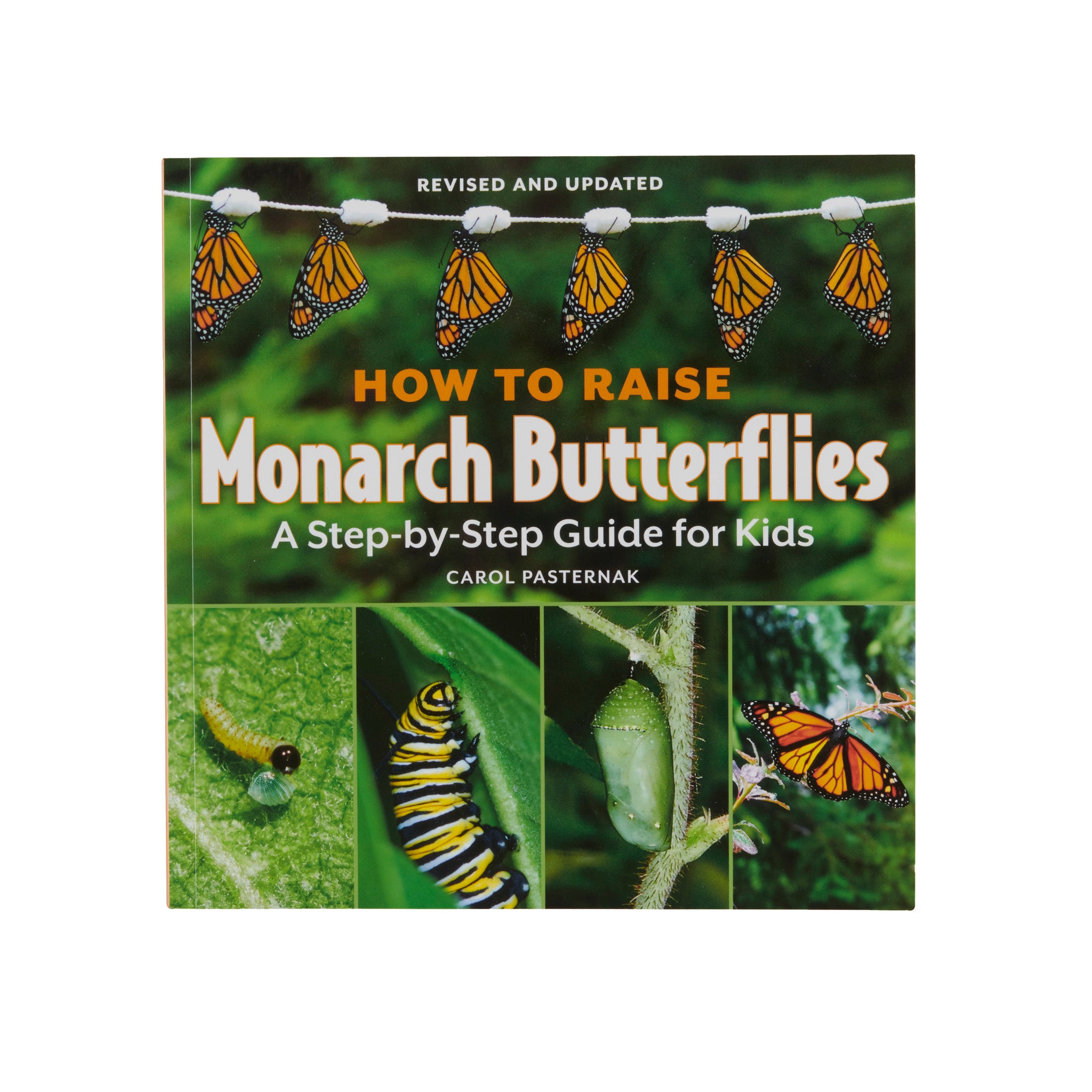 How To Raise Monarch Butterflies – ROM Boutique