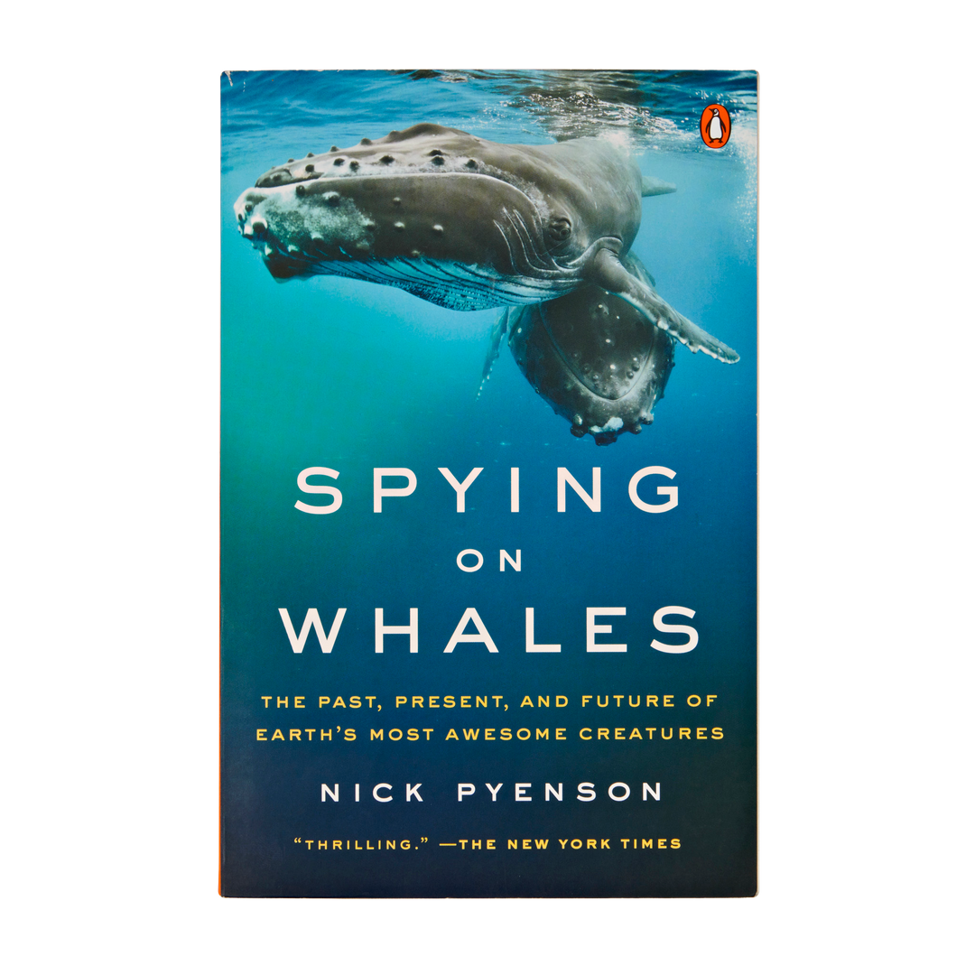 Espionner les baleines