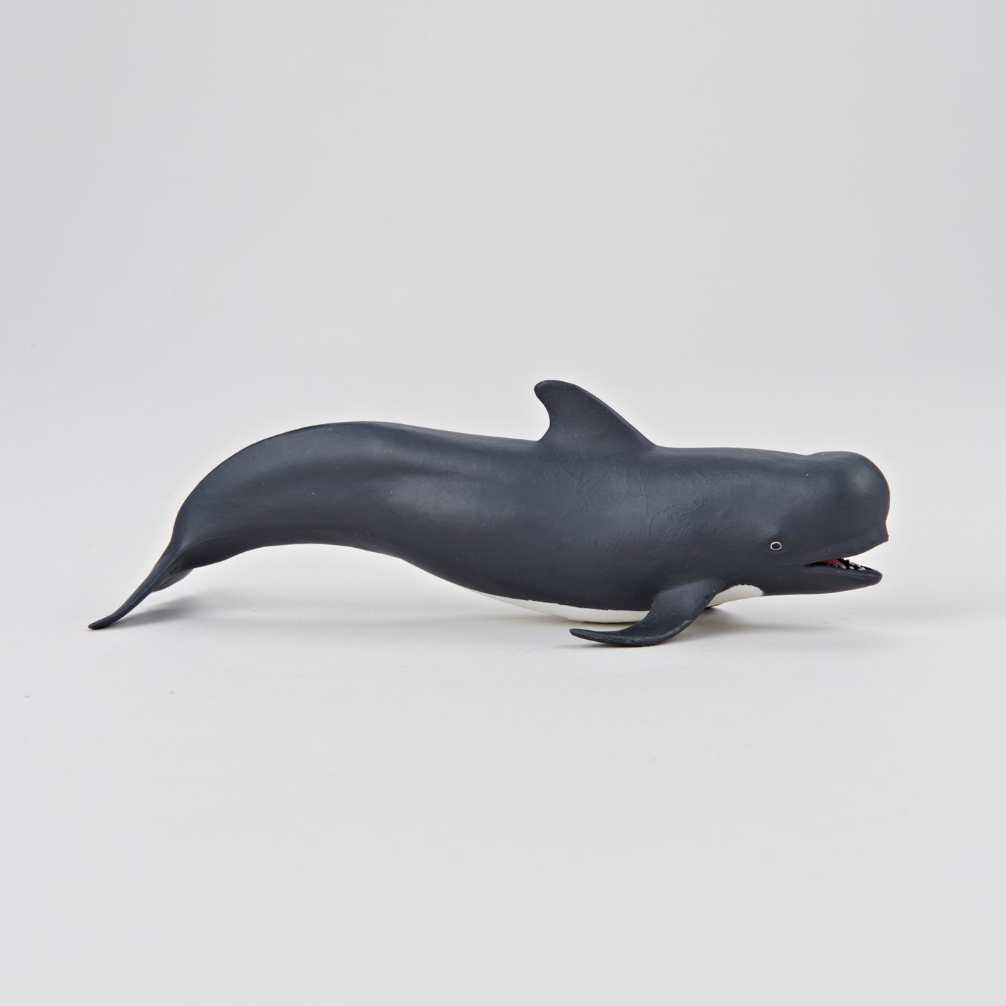 Figure - Baleine Pilote