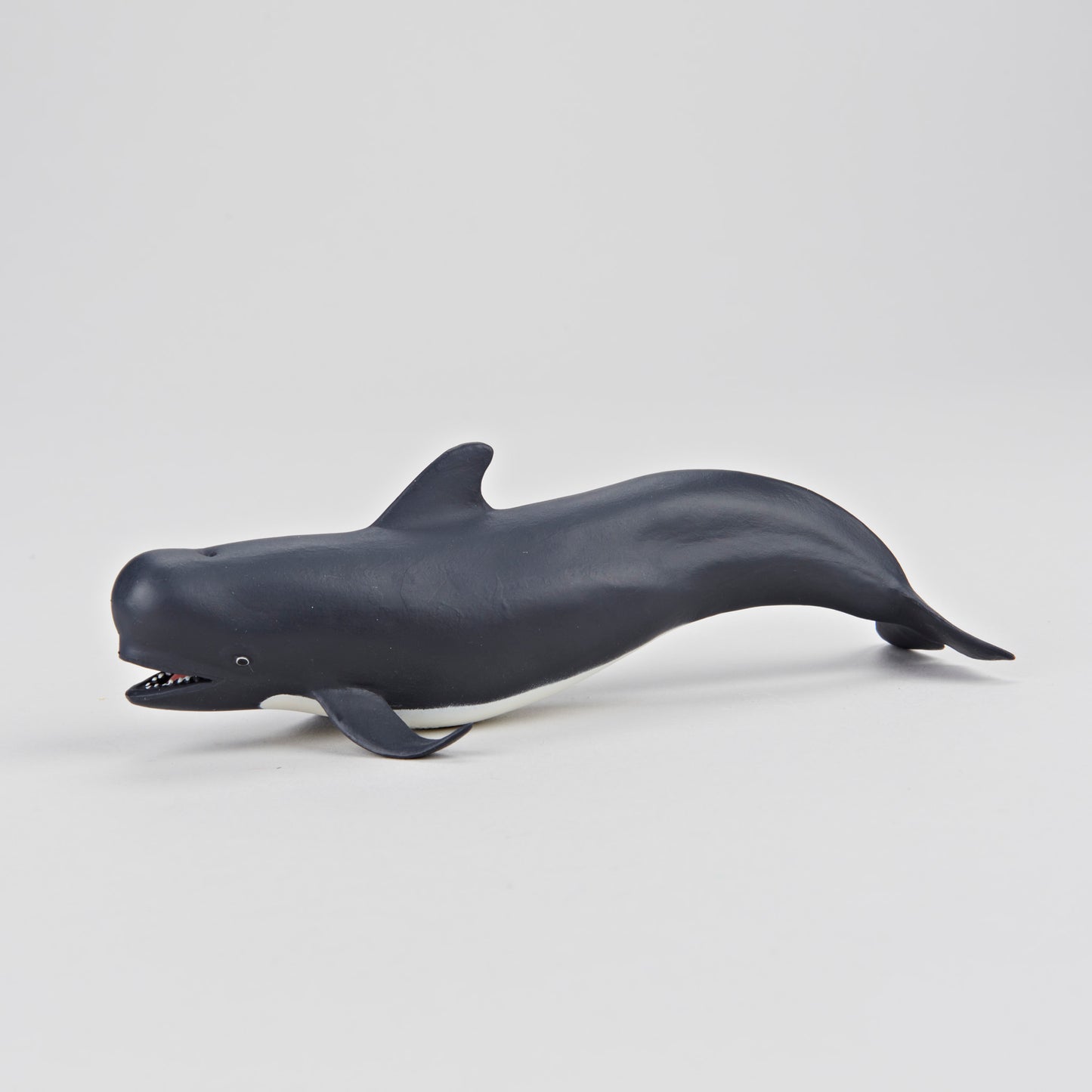 Figure - Baleine Pilote