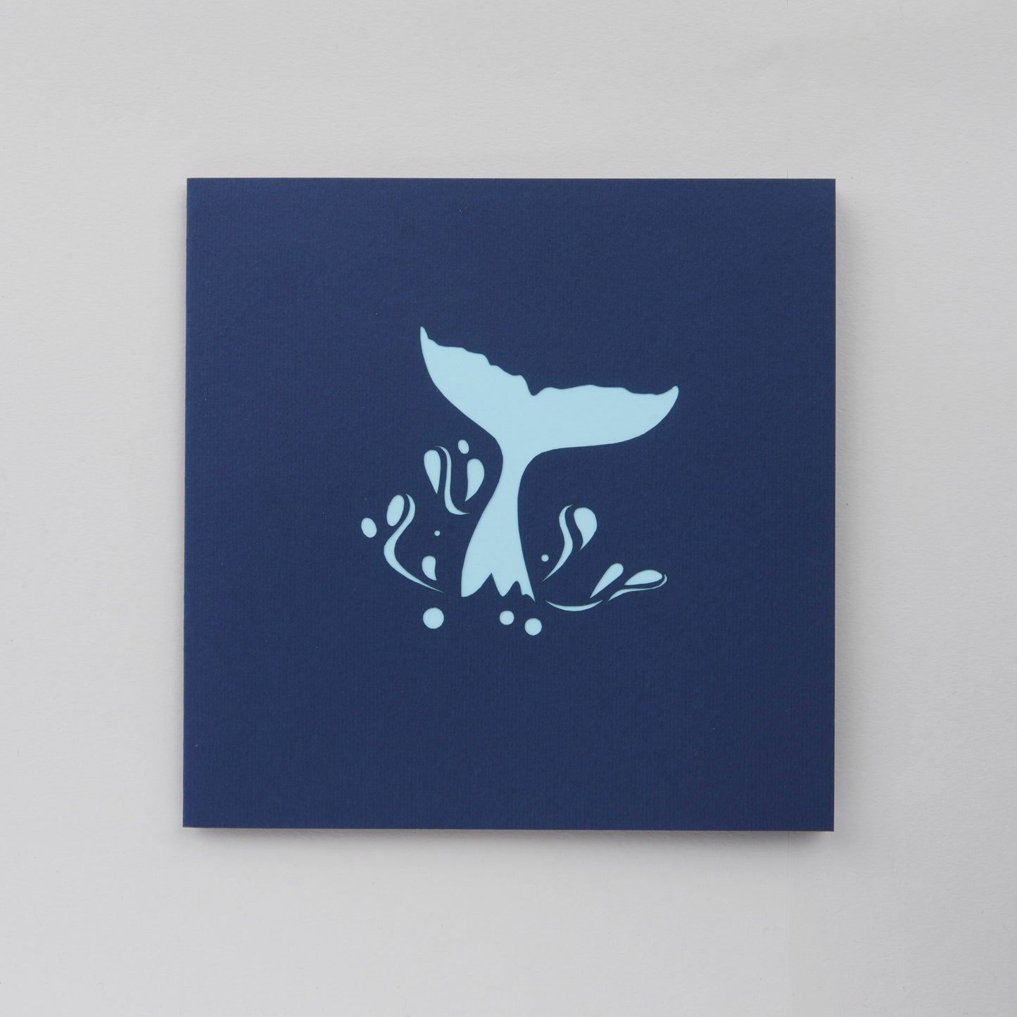 Carte - Queue de baleine pop-up