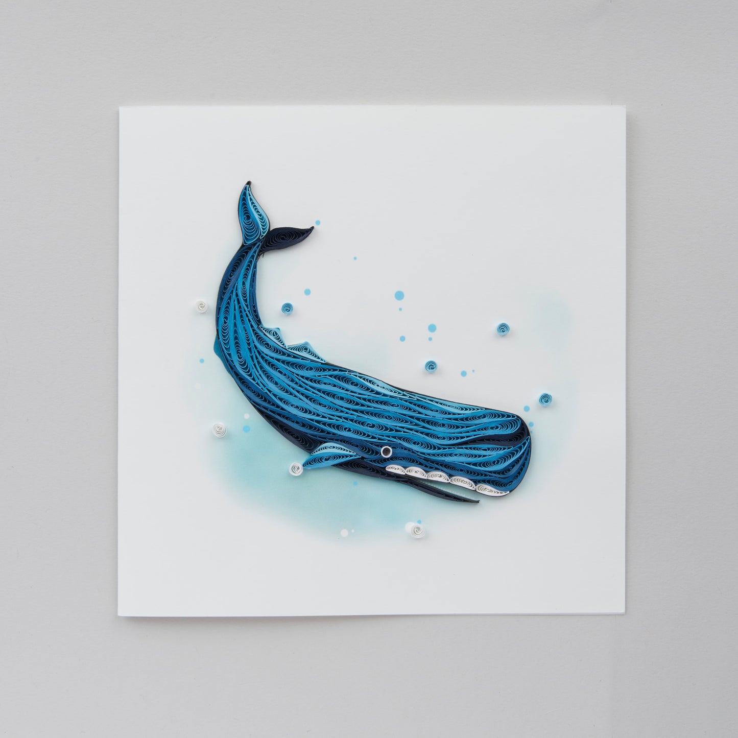 Carte - Cachalot