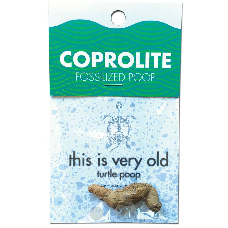 Coprolithe