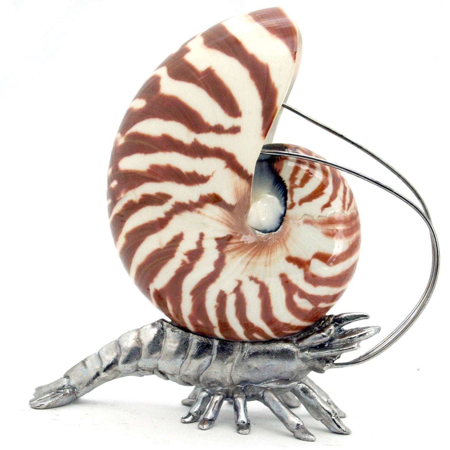 Crevette Nautilus en étain