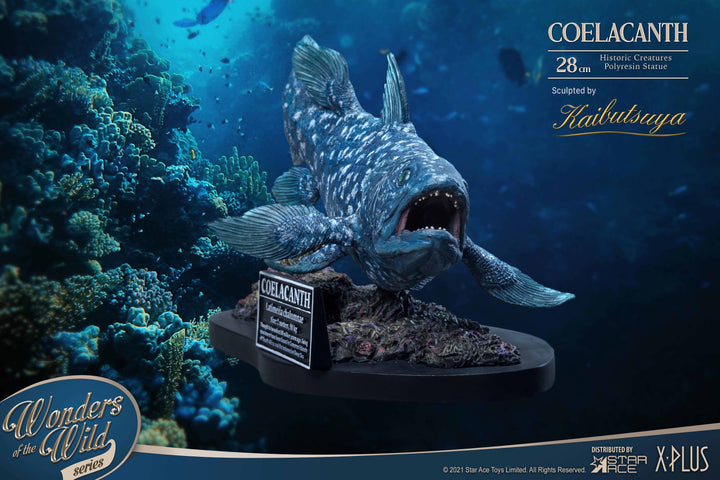 Statue en polyrésine coelacanthe avec socle
