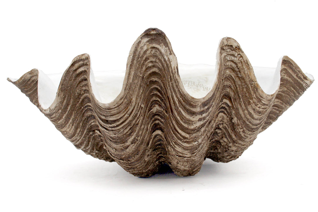 Clam Shell Decorative Bowl