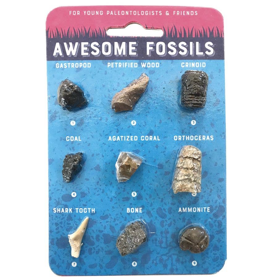 CARTE FOSSILES