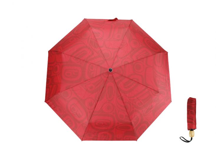 Umbrella Kelly Robinson Raven